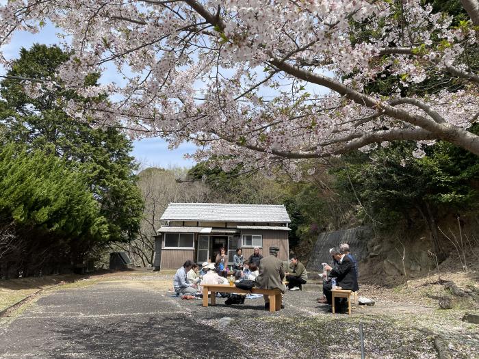 十坪住宅前でお花見をしました